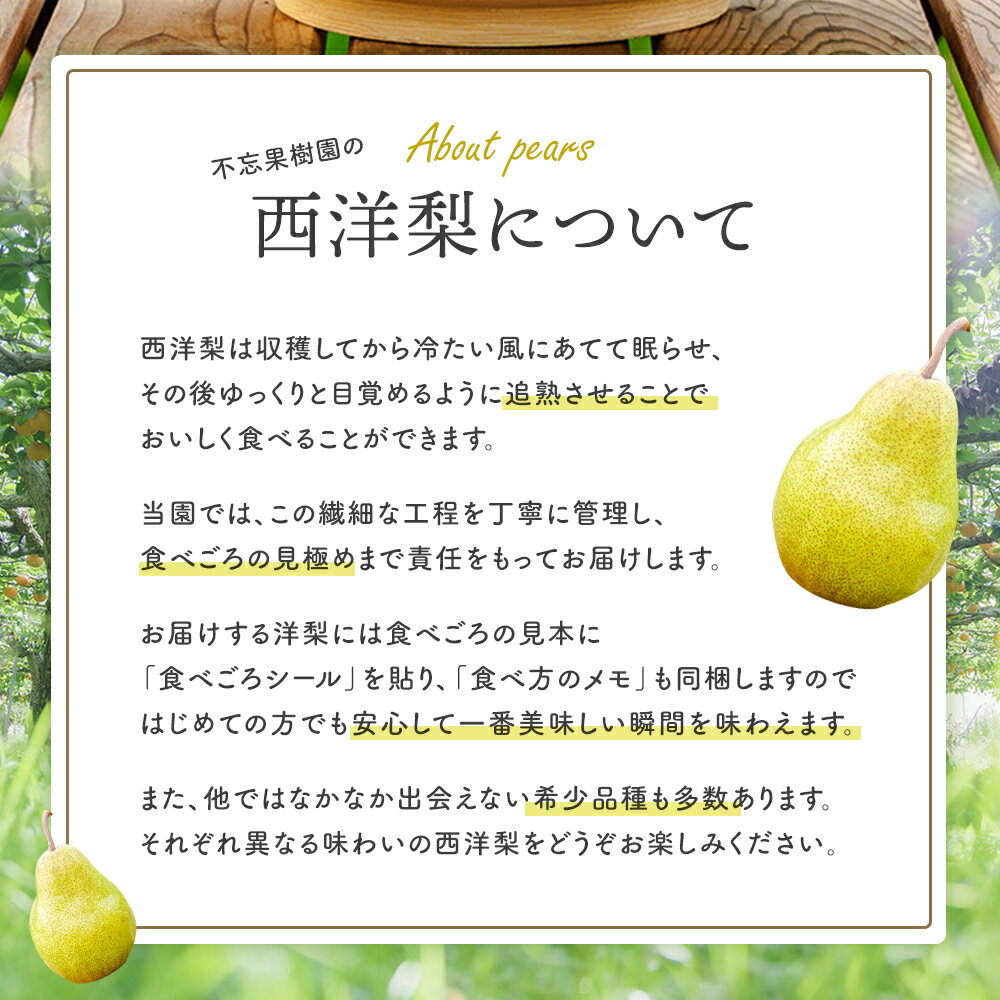 【ふるさと納税】西洋梨詰合せ　7種 約3kg（7～10個） 蔵王産　【04301-0278】