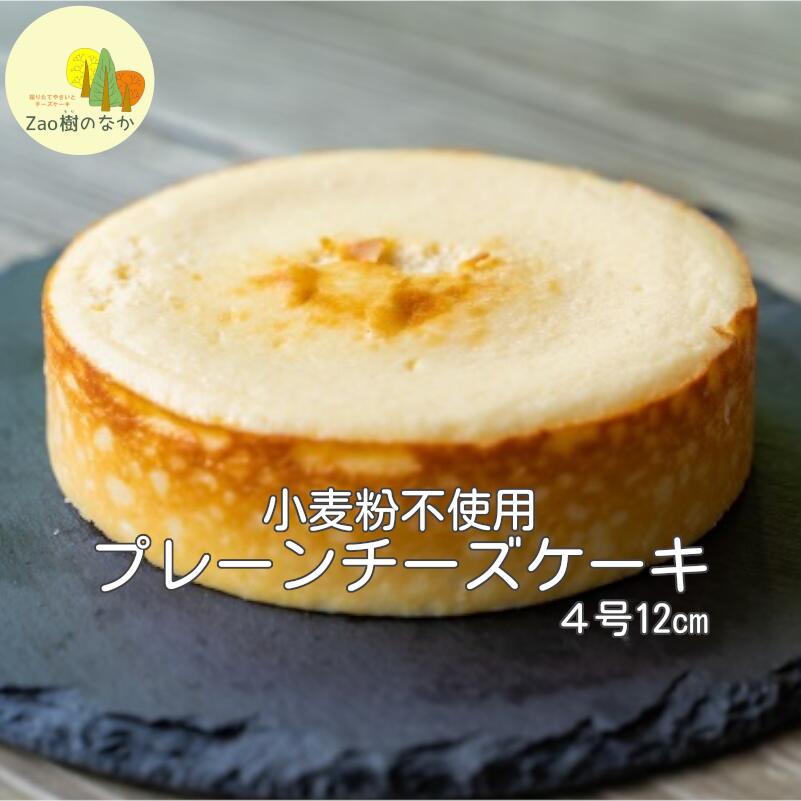 プレーンチーズケーキ [04301-0514]