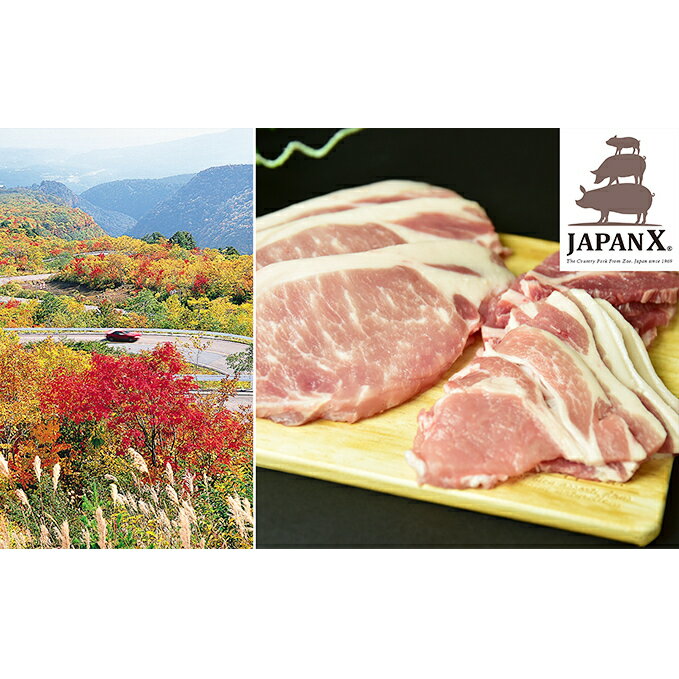 【ふるさと納税】牧場直送JAPAN X グリルセットA/計6kg　【お肉・豚肉】