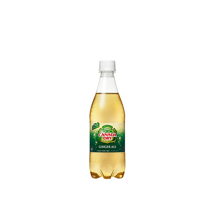 【ふるさと納税】PET500ml×24本 カナダドライジンジャーエール　【野菜・飲料類・炭酸飲料】