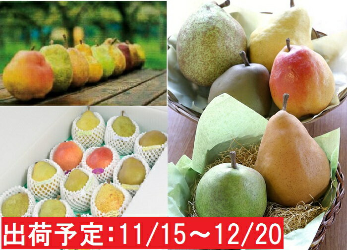 【ふるさと納税】11〜12月　蔵王産 贈答規格 西洋梨詰合せ約4kg（品種おまかせ3〜4種程度）不忘果樹園直送　【梨・果物・果物詰合せ・果物類・フルーツ・詰合せ】　お届け：2020年11月15日〜2020年12月20 日