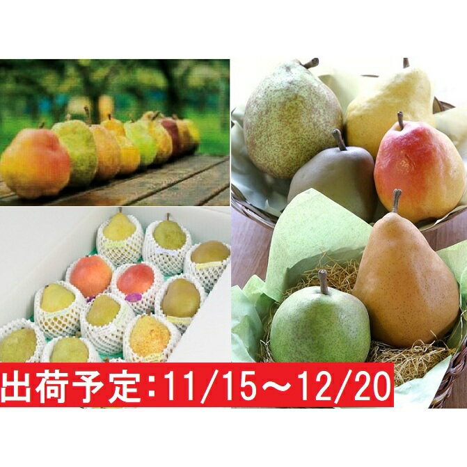 【ふるさと納税】11〜12月　蔵王産 贈答規格 西洋梨詰合せ約4kg（品種おまかせ3〜4種程度）不忘果樹園直送　【梨・果物・果物詰合せ・果物類・フルーツ・詰合せ】　お届け：2020年11月15日〜2020年12月20 日