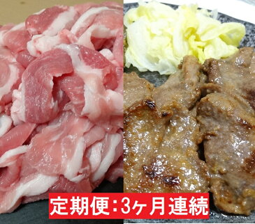 【ふるさと納税】【3ヶ月連続】JAPAN X豚小間1.5kg＆家庭用牛タン（塩味）600g/計2.1kg 【定期便】【訳あり】　【定期便・お肉・牛肉・牛タン・牛肉炒め物】