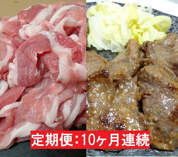 【ふるさと納税】【10ヶ月連続】JAPAN X豚小間1.5kg＆家庭用牛タン（塩味）600g/計2.1kg【定期便】【訳あり】　【定期便・お肉・牛肉・牛タン・牛肉炒め物】