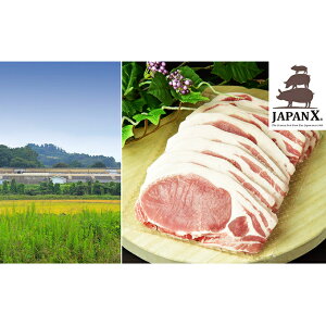 【ふるさと納税】牧場直送JAPAN X 豚ロースステーキ15枚/計1.5kg　【お肉・豚肉】