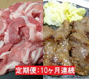 【ふるさと納税】【10ヶ月連続】JAPAN X豚小間1.5kg＆家庭用牛タン（塩味）600g/計2.1kg【定期便】【訳あり】　【定期便・お肉・牛肉・牛タン・牛肉炒め物・豚小間・塩味・10カ月・10回】 2