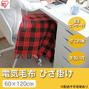 【ふるさと納税】電気毛布 ひざ掛け 60×120cm EBK
