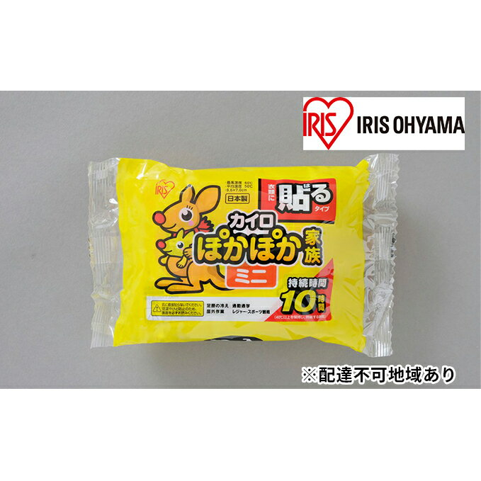 【ふるさと納税】ぽかぽか家族 貼るミニ PKN-10HM 10P×48箱　【雑貨 日用品 使い捨て】