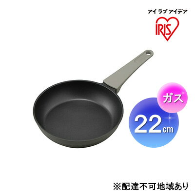 取っ手一体型フライパン22cm（ガス）パールグレー DCF-G22　【 雑貨 調理器具 キッチン用品 ガス火 ダイヤモンドコーティング 】