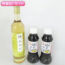 【ふるさと納税】大河原町観光物産協会 特産品Cセット ドレッシング 調味料 ポン酢 柚子 梅 シロップ 果実 詰め合わせ