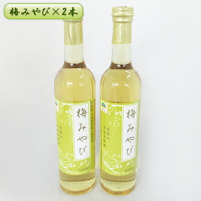 7位! 口コミ数「0件」評価「0」梅みやび（梅シロップ）500ml×2本セット　【 ウメ うめ シロップ 果実シロップ 希釈 ドリンク 飲み物 町のおすすめ返礼品 】