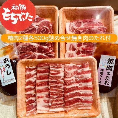 もちぶた 肩ロース 2種 500g 詰め合わせ セット 焼き肉のたれ付 ロース バラ ソテー 焼肉 焼肉のたれ おろし醤油 味噌 和豚 もち豚 豚肉 ポーク お肉 肉 豚 ぶた 豚ロース バラ肉 精肉 アウトドア キャンプ バーベキュー 冷蔵 宮城　【 大河原町 高評価 】