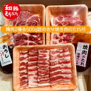 3位! 口コミ数「1件」評価「5」もちぶた 肩ロース 2種 500g 詰め合わせ セット 焼き肉のたれ付 ロース バラ ソテー 焼肉 焼肉のたれ おろし醤油 味噌 和豚 もち･･･ 