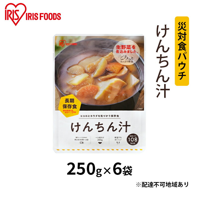 【ふるさと納税】【防災】災対食パウチけんちん汁 250g×6袋　【惣菜 加工食品 惣菜 レトルト 保存食 たくさん 野菜 油あげ 麩 煮込み 生野菜 常温 5年 長期保存 可能 非常食 災害時】