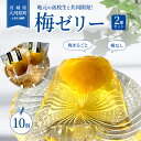 【ふるさと納税】大河原の梅と清水のゼリー うめ果りり 10個入り 10,000円台おすすめ返礼品 お菓子 スイーツ 和スイーツ 梅の風味 梅ゼリー おやつ 食後 ひんやりスイーツ 涼 夏 さっぱり やさしい甘味 酸味