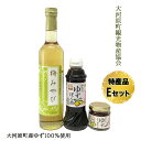 14位! 口コミ数「0件」評価「0」大河原町観光物産協会　特産品Eセット　【 加工食品 調味料 梅シロップ ゆずぽん酢しょうゆ ゆずとうがらし 調味料セット 詰め合わせ 】