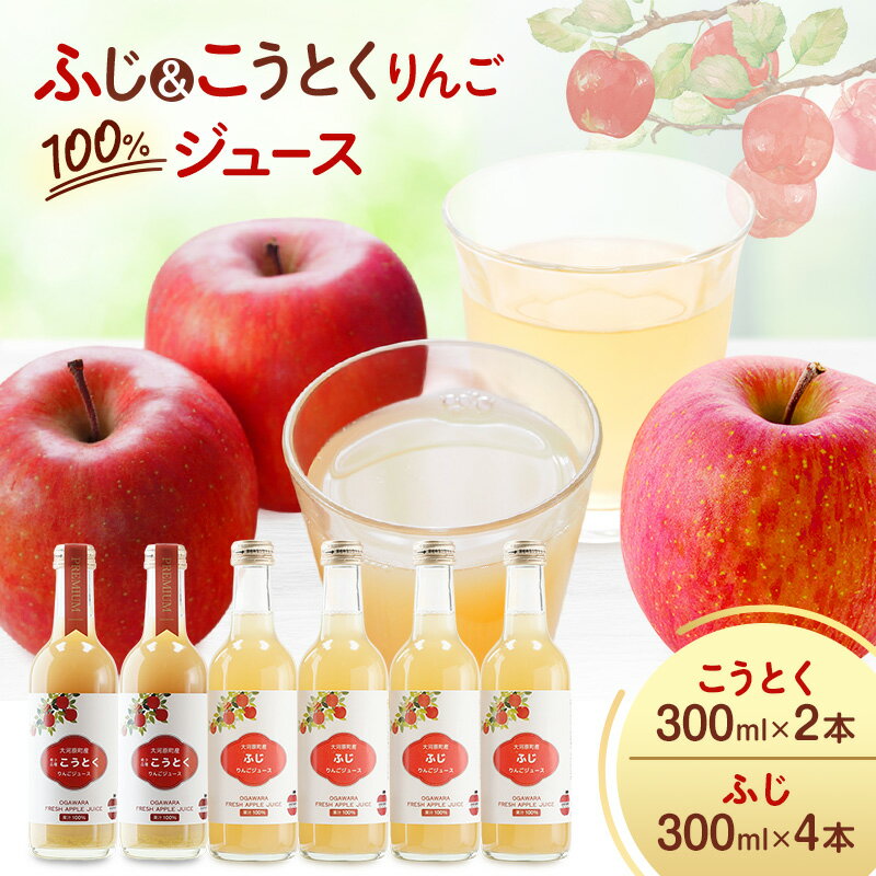 【ふるさと納税】大河原産 「 こうとく 」「 ふじ 」 りんご ジュース 300ml 6本 飲み比べ セット リンゴ 林檎 ジュース りんごジュース リンゴジュース 飲み物 飲料 果実飲料 フルーツ 果物 くだもの ドリンク 大河原町のサムネイル
