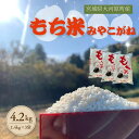【ふるさと納税】令和7年度産 宮城県大河原町産 みやこがね 4.2kg(1.4kg×3) もち米 餅米 こめ コメ モチ もち もち米 お餅 餅