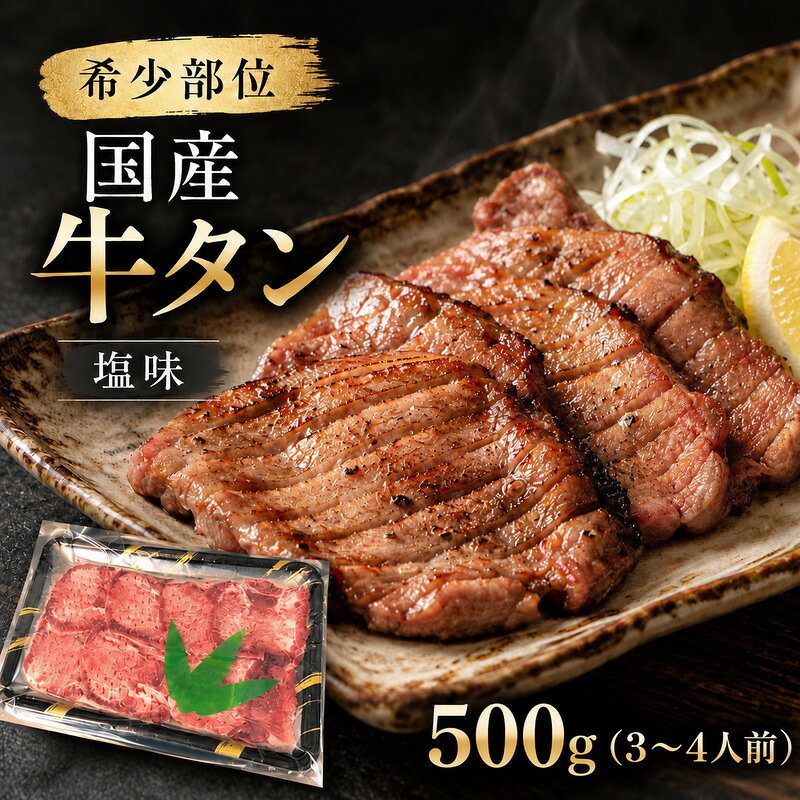 希少部位 国産 牛タン 塩味 500g (3〜4人前) 焼肉 BBQ 家族 ファミリー 大河原町