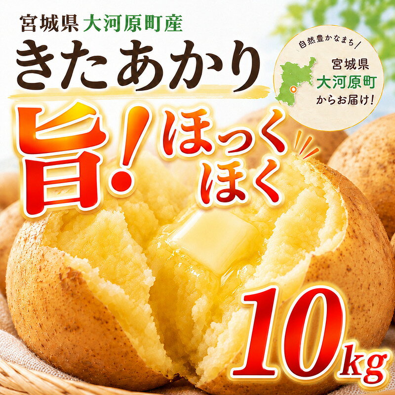 【ふるさと納税】じゃがいも きたあかり 10kg 産地直送 農家直送 野菜 キタアカリ 甘い ホクホク ポテトサラダ コロッケ じゃがバター 常温 保存 備蓄 大容量 サイズ 不揃い 混合 家庭用 おうちごはん 送料無料　大河原町　お届け：2026年10月上旬まで