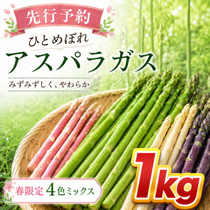 [先行予約]春限定 ひとめぼれアスパラガス 1kg 4色 食べ比べ 産地直送 農家直送 野菜 新鮮 旬 アスパラ 春野菜 サラダ バーベキュー BBQ ファミリー 大容量 ギフト お届け:2027年4月上旬〜4月下旬