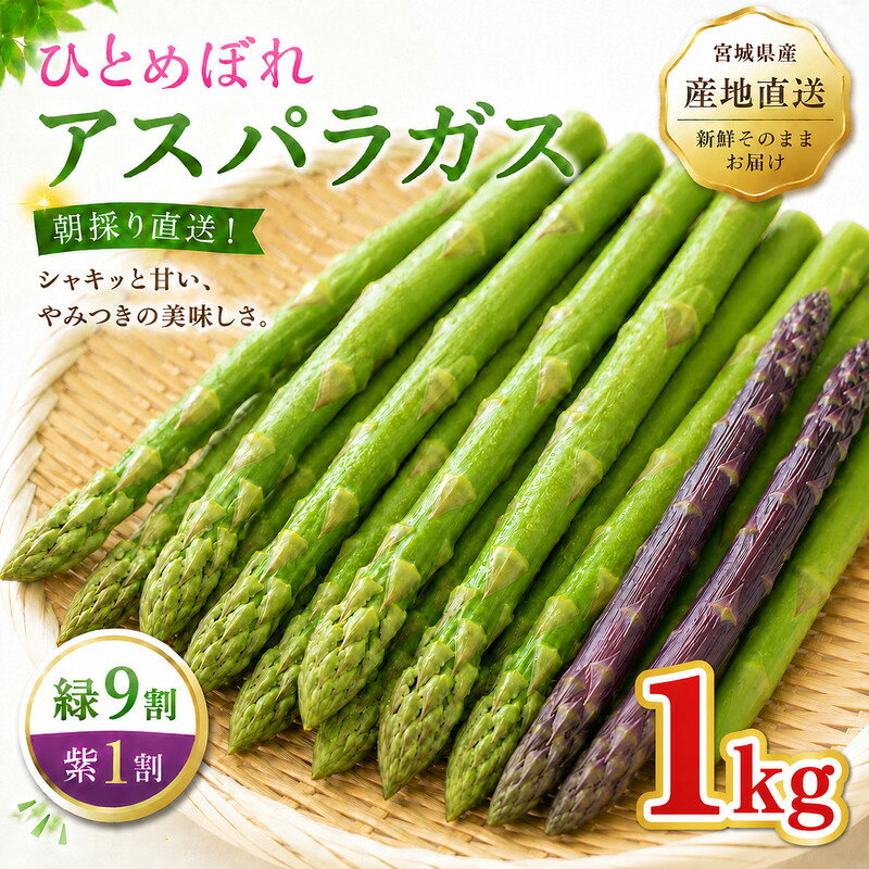 夏限定 ひとめぼれアスパラガス 1kg グリーン パープル ミックス 産地直送 農家直送 夏野菜 朝採れ 新鮮 旬 アスパラ シャキシャキ サラダ バーベキュー BBQ お弁当 肉巻き おすそ分け ファミリー 大容量 ギフト 送料無料 お届け：2026年6月上旬～9月上旬