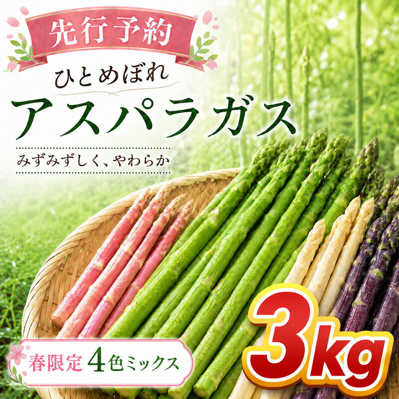 【ふるさと納税】【先行予約】春限定 ひとめぼれアスパラガス 3kg 4色 食べ比べ 産地直送 農家直送 野菜 新鮮 旬 アスパラ 春野菜 サラダ バーベキュー BBQ ファミリー 大容量 ギフト　お届け：2027年4月上旬～4月下旬