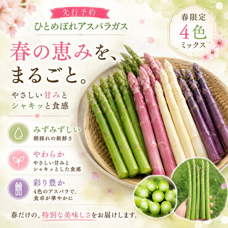 【ふるさと納税】【先行予約】春限定 ひとめぼれアスパラガス 3kg 4色 食べ比べ 産地直送 農家直送 野菜 新鮮 旬 アスパラ 春野菜 サラダ バーベキュー BBQ ファミリー 大容量 ギフト　お届け：2027年4月上旬～4月下旬
