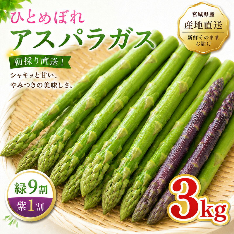 【ふるさと納税】夏限定 ひとめぼれアスパラガス 3kg グリーン パープル ミックス 産地直送 農家直送 夏野菜 朝採れ 新鮮 旬 アスパラ シャキシャキ サラダ バーベキュー BBQ お弁当 肉巻き おすそ分け ファミリー 大容量 ギフト 送料無料　お届け：2026年6月上旬～9月上旬