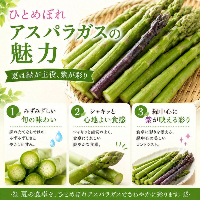 【ふるさと納税】夏限定 ひとめぼれアスパラガス 3kg グリーン パープル ミックス 産地直送 農家直送 夏野菜 朝採れ 新鮮 旬 アスパラ シャキシャキ サラダ バーベキュー BBQ お弁当 肉巻き おすそ分け ファミリー 大容量 ギフト 送料無料　お届け：2026年6月上旬～9月上旬