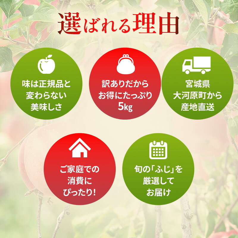 【ふるさと納税】りんご 訳あり 3kg 果物 フルーツ わけあり 不揃い 規格外 ご家庭用 宮城県 大河原町 産地直送 林檎 リンゴ くだもの 先行予約 送料無料　お届け：2026年12月上旬から