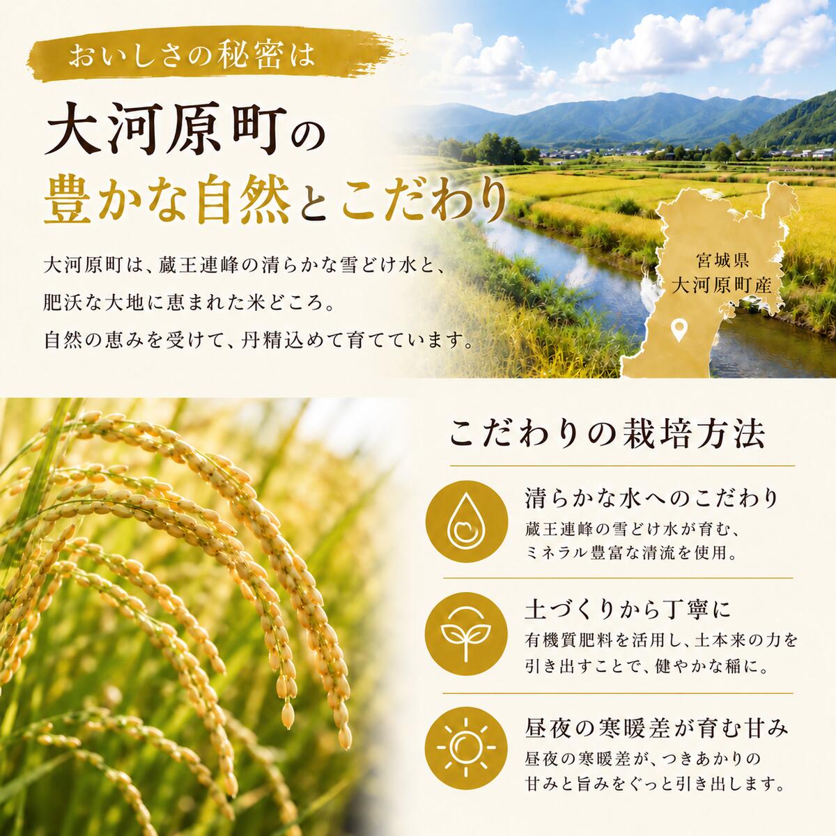 【ふるさと納税】令和8年産 米 定期便 12ヶ月 6ヶ月 3ヶ月 12回 6回 3回 つきあかり 選べる容量 5kg 10kg 新米 先行予約 宮城県産 白米 精米 単品 単一原料米 送料無料　お届け：2026年10月中旬頃から順次発送予定 f043214-ogawara-10003597 宮城県大河原町 サンプル画像3