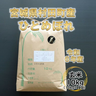 令和5年産 ひとめぼれ 玄米10kg 宮城県村田町産