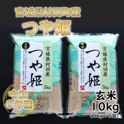 【ふるさと納税】令和5年産 つや姫 玄米10kg(5kg×2) 宮城県産【1241456】