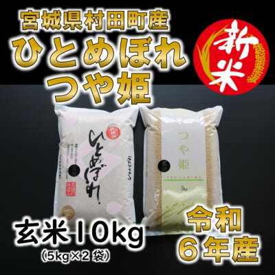 楽天ふるさと納税　【ふるさと納税】令和5年産 玄米10kg(5kg×2) ひとめぼれ・つや姫 食べ比べ 宮城県村田町産【1241458】