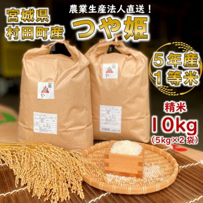 【ふるさと納税】【新米】令和5年宮城県産 つや姫 精米10kg(5kg×2袋)【村田...