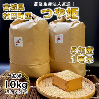 令和5年宮城県産 つや姫 玄米10kg(5kg×2袋)【村田町産】【1259867】