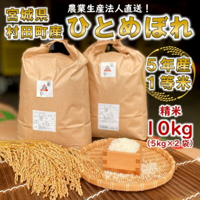 令和5年宮城県産 ひとめぼれ 精米10kg(5kg×2袋)[村田町産]