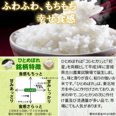 【ふるさと納税】令和5年産　宮城県産ひとめぼれ 精米10kg【配送不可地域：離島】【1276616】