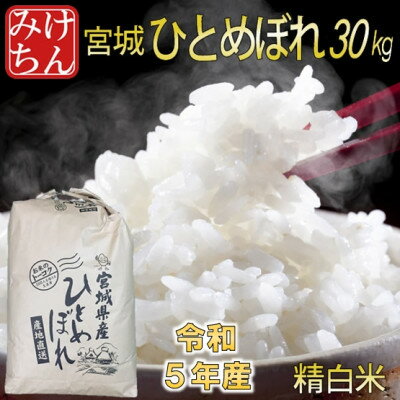 【ふるさと納税】令和5年産　宮城県産ひとめぼれ 精白米30kg【1283890】