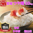 人気ランキング第4位「宮城県村田町」口コミ数「1件」評価「3」令和5年産　宮城県産つや姫 精白米10kg　◆8年連続最高評価特A受賞【1283892】