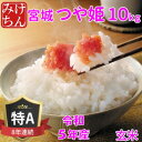 人気ランキング第29位「宮城県村田町」口コミ数「0件」評価「0」令和5年産　宮城県産つや姫 玄米10kg 　◆8年連続最高評価特A受賞【1283893】