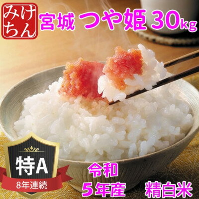 20位! 口コミ数「0件」評価「0」令和5年産　宮城県産つや姫 精白米30kg　◆8年連続最高評価特A受賞【1283895】