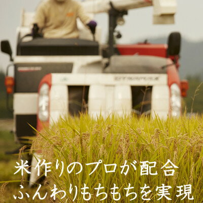 【ふるさと納税】宮城ふるさと応援米 精米10kg ◆宮城県産　米・雑穀のみちのく農業研究所【1283897】
