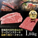 【ふるさと納税】【A5仙台牛】総重量1.04kg サーロインステーキ270g×2・霜降り肩ロース500g×1 セット【配送不可地域：離島】【1401383】