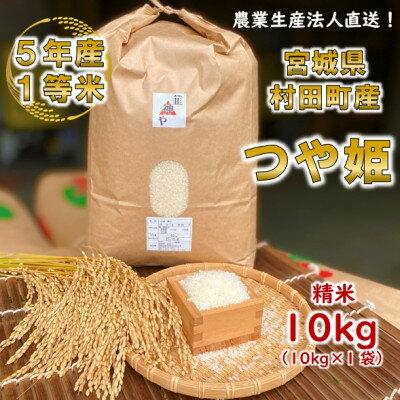 令和5年宮城県産 つや姫 精米10kg(10kg×1袋)[村田町産]