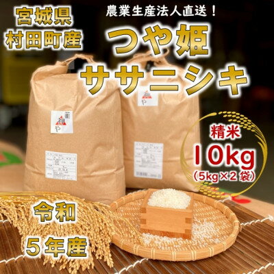 令和5年産 つや姫・ササニシキ 精米10kg(5kg×2) 食べ比べセット 【村田町産】【1493293】