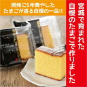 【ふるさと納税】黄金のたまごカステラ12個ギフト【1600538】