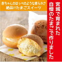 【ふるさと納税】たまごがふわり9個ギフト【配送不可地域:離島】【1600546】