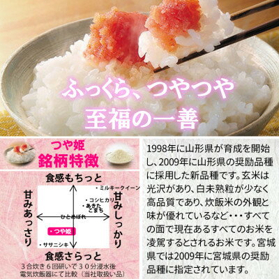 【ふるさと納税】令和7年産 宮城県産 つや姫 精米 白米 10kg ◆最高評価特A受賞【1683735】
